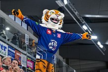 Eishockey, Men, CHL, Champions Hockey League, Regular Saison 2024-25, Game Day 4, Straubing Tigers - Dynamo Pardubice, 15.09.2024