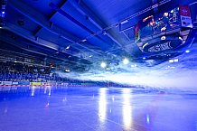 Eishockey, Herren, Penny DEL, 40. Spieltag, Saison 2023-2024, Straubing Tigers - Augsburger Panther,21.01.2024