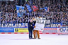 Eishockey, Herren, Penny DEL, DEL, Saison 2022-2023, Playoffs, Viertelfinale, Spiel 5, Straubing Tigers - Grizzlys Wolfsburg, 24.03.2023
