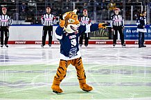 Eishockey, Herren, DEL, Saison 2021-2022, 07.11.2021