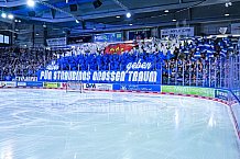 Eishockey, Herren, Penny DEL, DEL, Saison 2022-2023, Playoffs, Viertelfinale, Spiel 7, Straubing Tigers - Grizzlys Wolfsburg, 29.03.2023