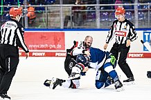 Eishockey, Herren, DEL, Saison 2021-2022, 07.11.2021