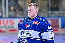 Eishockey, Herren, Penny DEL, 42. Spieltag, Saison 2023-2024, Straubing Tigers - Ingolstadt Panther,28.01.2024