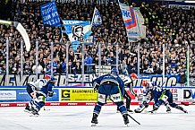 Eishockey, Herren, Penny DEL, Playoffs, Viertelfinale, Spiel 5, Saison 2023-2024, Straubing Tigers - Schwenninger Wild Wings,26.03.2024