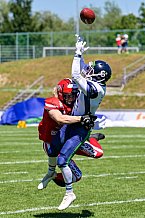 American Football, Herren, Shark Water GFL, Saison 2022, Straubing Spiders -  Mecenaries Marburg, 02.07.2022