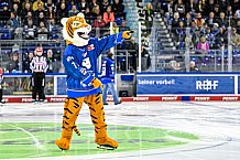 Eishockey, Herren, Penny DEL, Hauptrunde, 1. Spieltag, Saison 2022-2023, Straubing Tigers - Nürnberg Ice Tigers, 16.09.2022