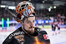 Eishockey, Herren, Penny DEL, DEL, Saison 2022-2023, Playoffs, Viertelfinale, Spiel 3, Straubing Tigers - Grizzlys Wolfsburg, 19.03.2023