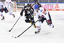 Eishockey, Herren, DEL, Saison 20202021, Straubing Tigers - Adler Mannheim, 22.01.2021
