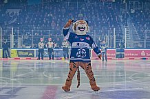 Eishockey, Herren, Penny DEL, 29. Spieltag, Saison 2023-2024, Straubing Tigers - Schwenninger Wild Wings,21.12.2023