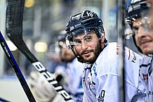 Eishockey, Herren, DEL, Saison 2021-2022, 52. Spieltag, Straubing Tigers - Showtraining,  06.03.2022