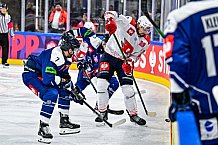 Eishockey, Men, CHL, Champions Hockey League, Regular Saison 2024-25, Game Day 4, Straubing Tigers - Dynamo Pardubice, 15.09.2024