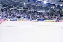Eishockey, Herren, Penny DEL, DEL, Saison 2022-2023, Playoffs, Viertelfinale, Spiel 5, Straubing Tigers - Grizzlys Wolfsburg, 24.03.2023