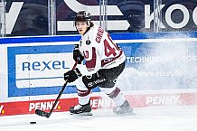 Eishockey, Herren, DEL, Saison 2020-2021, Straubing Tigers - Kölner Haie, 11.04.2021