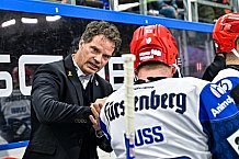 Eishockey, Herren, Penny DEL, Playoffs, Viertelfinale, Spiel 3, Saison 2023-2024, Straubing Tigers - Schwenninger Wild Wings,22.03.2024