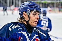 Eishockey, Men, DEL, Penny DEL, Hauptrunde Saison 2024-25, 1. Spieltag, Straubing Tigers - Düsseldorfer EG, 20.09.2024