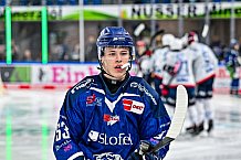 Eishockey, Men, DEL, Penny DEL, Hauptrunde Saison 2024-25, 8. Spieltag, Straubing Tigers - Adler Mannheim, 11.10.2024