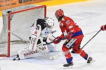 Eishockey, Herren, Oberliga Süd, Saison 2020 2021, Deggendorfer SC - EHF Passau Black Hawks, 03.02.2021