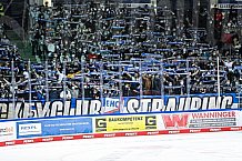 Eishockey, Herren, DEL, Saison 2021-2022, 01.10.2021