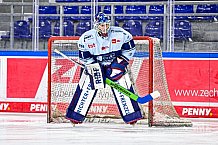 Eishockey, Herren, DEL, Penny DEL, Saison 2023-2024, Straubing Tigers, öffentliches Eistraining,06.08.2023
