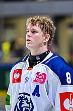 Eishockey, Men, CHL, Champions Hockey League, Regular Saison 2024-25, Game Day 1, Straubing Tigers - SonderjyskE Vojens, 06.09.2024