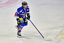 Herren, Eishockey, Oberliga-Sued, DEL2, Saison 2023-2024, DEB, Deggendorfer SC - Selber Woelfe, Vorbereitung, Niemeier Cup 2023, Halbfinale, 02.09.2023