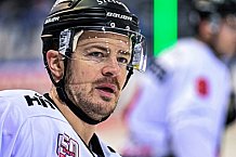 Eishockey, Herren, Penny DEL, DEL, Saison 2022-2023, Hauptrunde, Straubing Tigers - Kölner Haie, 29. Spieltag, 11.12.2022