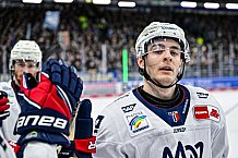 Eishockey, Herren, Penny DEL, 44. Spieltag, Saison 2023-2024, Straubing Tigers - Adler Mannheim,04.02.2024