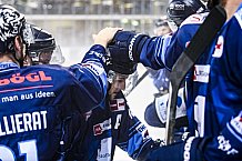 Eishockey, Herren, DEL, Saison 2021-2022, Playoff, Viertelfinale, Spiel 3, Straubing Tigers - Adler Mannheim, 14.04.2022