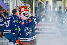 Eishockey, CHL, Champions Hockey League, 3. Spieltag, Saison 2022-2023, Gruppe F, Straubing Tigers - Comrach Cracovia, 09.09.2022