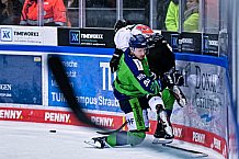 Eishockey, Herren, Penny DEL, DEL, Saison 2022-2023, Hauptrunde, Straubing Tigers - Kölner Haie, 57. Spieltag, 26.02.2023