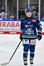 Eishockey, Herren, Penny DEL, Playoffs, Viertelfinale, Spiel 1, Saison 2023-2024, Straubing Tigers - Schwenninger Wild Wings,16.03.2024