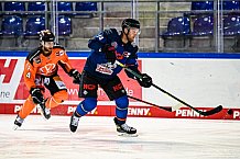 Eishockey, DEL, Penny-DEL, Vorbereitung, Gäubodencup 2021, 15.08.2021