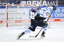 Straubing Tigers - ERC Ingolstadt