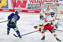 Eishockey, Men, DEL, Penny DEL, Hauptrunde Saison 2024-25, 1. Spieltag, Straubing Tigers - Düsseldorfer EG, 20.09.2024