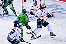 Eishockey, Herren, DEL, Saison 2022-2023, Hauptrunde, Straubing Tigers - EHC Red Bull München, 13. Spieltag, 21.10.2022