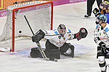 Herren, Eishockey, Oberliga-Sued, Saison 2023-2024, DEB, Deggendorfer SC - Bayreuth Tigers, 1. Spieltag, 28.09.2023