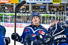 Eishockey, Men, DEL, Penny DEL, Hauptrunde Saison 2024-25, 1. Spieltag, Straubing Tigers - Düsseldorfer EG, 20.09.2024