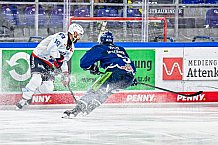 Eishockey, Men, DEL, Penny DEL, Hauptrunde Saison 2024-25, 8. Spieltag, Straubing Tigers - Adler Mannheim, 11.10.2024