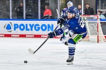 Eishockey, Herren, Penny DEL, 42. Spieltag, Saison 2023-2024, Straubing Tigers - Ingolstadt Panther,28.01.2024