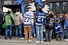 Eishockey, Herren, Penny DEL, Playoffs, Viertelfinale, Spiel 5, Saison 2023-2024, Straubing Tigers - Schwenninger Wild Wings,26.03.2024