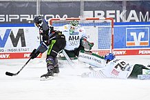 Eishockey, Herren, DEL, Saison 2020-2021, Straubing Tigers - Augsburger Panther, 03.03.2021