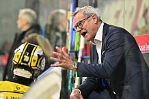 Herren, Eishockey, Oberliga-Süd, DEB, Saison 2024-2025, Deggendorfer SC - Tölzer Löwen, 22.09.2024