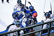 Eishockey, Herren, DEL, Saison 2022-2023, Hauptrunde, Straubing Tigers - ERC Ingolstadt, 22. Spieltag, 20.11.2022
