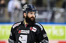 Eishockey, Herren, DEL, Saison 2021-2022, 49. Spieltag, Straubing Tigers - EHC Red Bull München,  27.02.2022