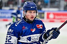 Eishockey, Herren, Penny DEL, 44. Spieltag, Saison 2023-2024, Straubing Tigers - Adler Mannheim,04.02.2024