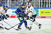 Eishockey, Men, DEL, Penny DEL, Hauptrunde Saison 2024-25, 4. Spieltag, Straubing Tigers - EHC Red Bull München, 29.09.2024