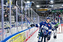 Eishockey, Herren, Penny DEL, 26. Spieltag, Saison 2023-2024, Straubing Tigers - Iserlohn Roosters,10.12.2023