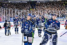 Eishockey, Herren, Penny DEL, Playoffs, Viertelfinale, Spiel 7, Saison 2023-2024, Straubing Tigers - Schwenninger Wild Wings,30.03.2024