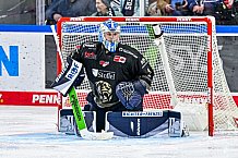 Eishockey, Herren, Penny DEL, 47. Spieltag, Saison 2023-2024, Straubing Tigers - Koelner Haie,18.02.2024