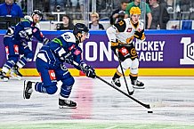 Eishockey, Men, CHL, Champions Hockey League, Regular Saison 2024-25, Game Day 2, Straubing Tigers - Skelleftea AIK, 08.09.2024